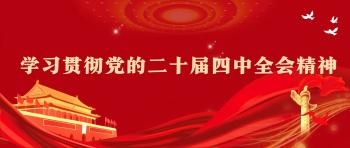 学习贯彻党的二十届四中全会精神